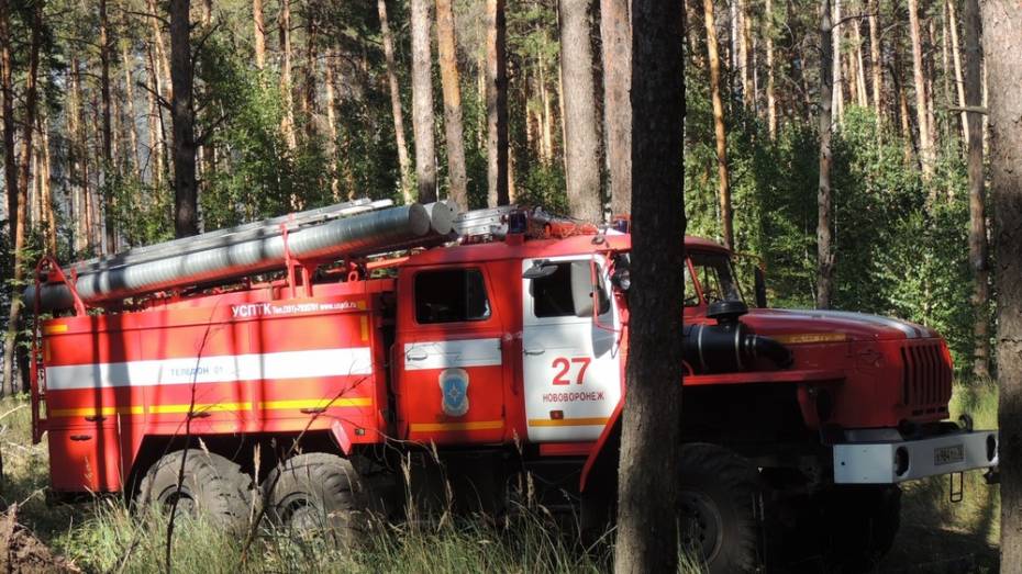Воронежские пожарные усилят патрулирование леса в микрорайоне Никольское