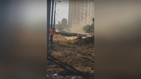 Возле строящейся мегашколы в Воронеже пробили газовую трубу: видео