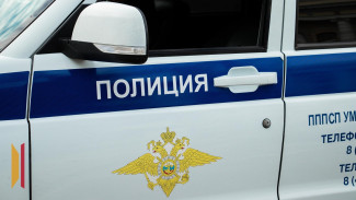 В Воронежской области мотоциклист врезался в автобус и скончался: видео