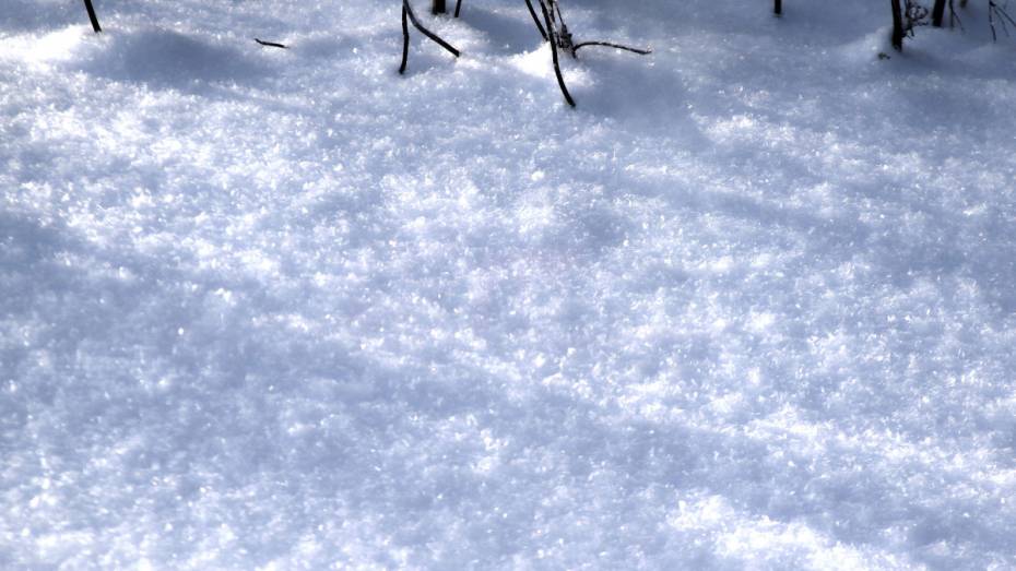 В Воронежской области по следам на снегу нашли сообщников, вскрывавших банкоматы бензорезом