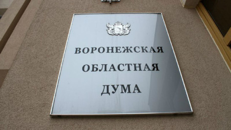 «Единая Россия» победила в 28 одномандатных округах Воронежской области 