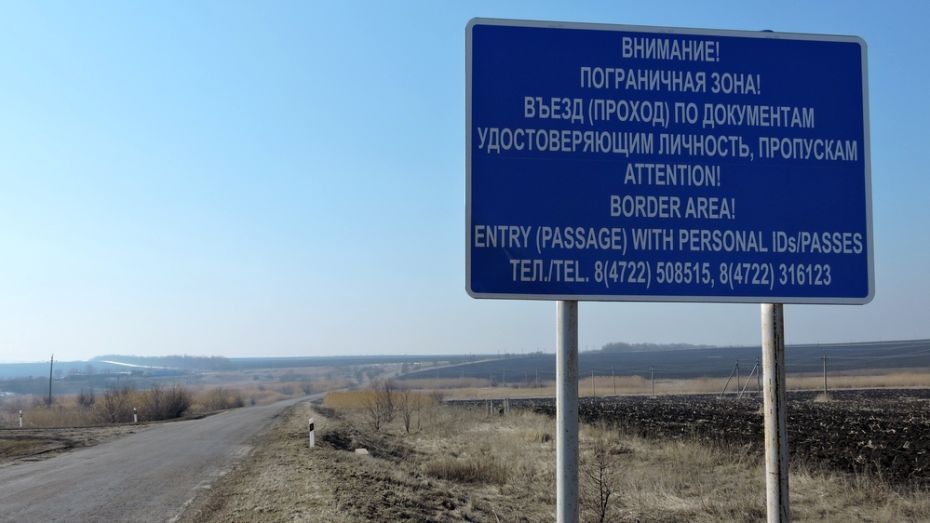 Жительница кантемировского села незаконно провела 3 коров через границу с Украиной 