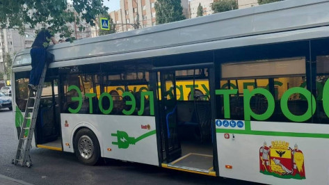 Правительство прокомментировало ситуацию с неработающим электробусом в Воронеже