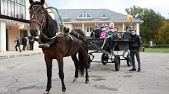 Фестиваль экотуризма «Тропами доверия» пройдет под Воронежем 27 сентября