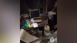 Появились фото с места пожара в хуторе Каменка Воронежской области, в котором погиб мужчина