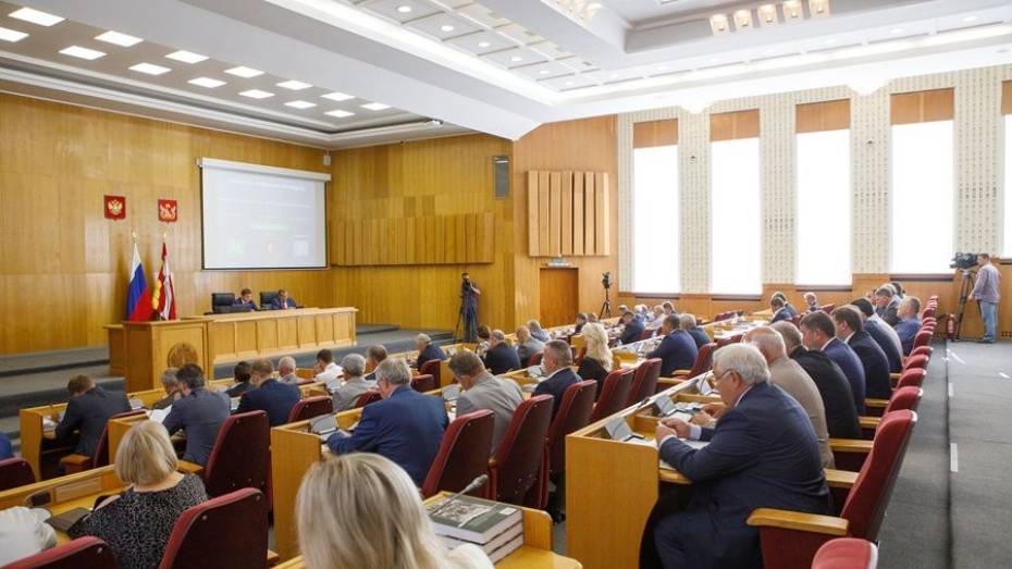 Воронежским сельским депутатам разрешили реже отчитываться о доходах