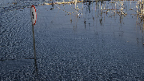 Затопление двух низководных мостов спрогнозировали в Воронежской области