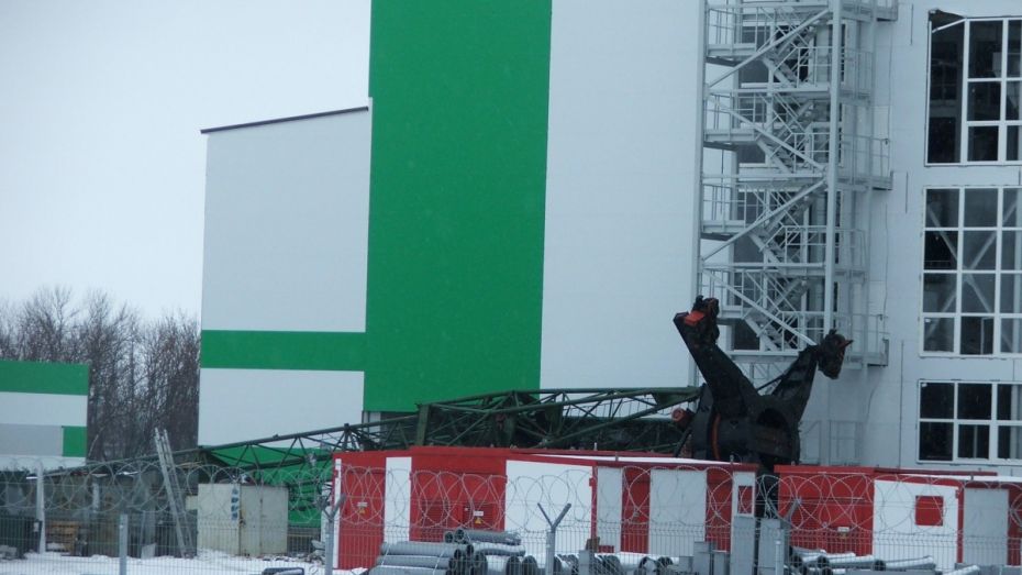 В Воронежской области при падении башенного крана на стройке завода пострадала работница 