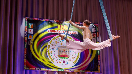 Всероссийский фестиваль-конкурс циркового искусства проведут в Ольховатском районе