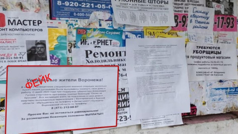 Фейк с призывом разместить у себя беженцев за деньги распространяют в Воронеже