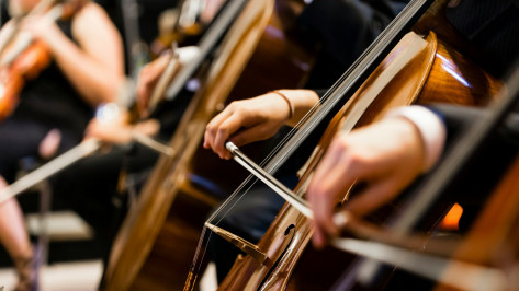 Воронежская область выиграла 13 млн рублей в конкурсе Президентского фонда культурных инициатив