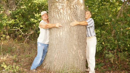 В Богучарском районе житель обнаружил 200-летний дуб-великан