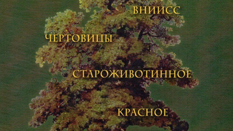 Рамонский краевед издала книгу о сельском поселении Айдарово