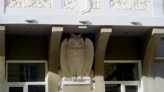 Воронежцы в одежде с совами вспомнят архитектора Замятнина 