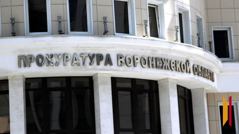 В Воронеже возбудили уголовное дело в отношении мужчины, ударившего девушку скейтбордом по лицу