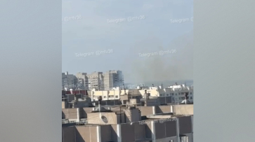 Воронежцы сообщили о пожаре в Северном лесу днем 31 августа