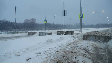 Воронежцы продолжают «штурмовать» неоткрытую улицу Крынина