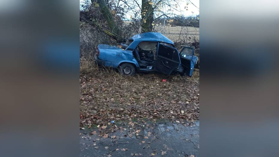 В Воронежской области ВАЗ с 16-летним водителем врезался в дерево: погиб 15-летний пассажир