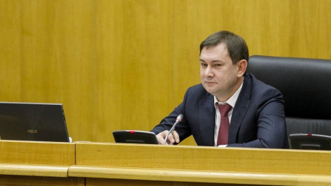 Полсотни законопроектов внесли в план Воронежской облдумы на 2021 год