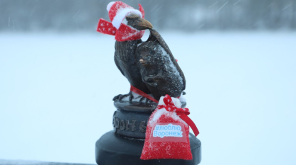 Ворон и еж на Петровской набережной Воронежа обзавелись новогодними костюмами