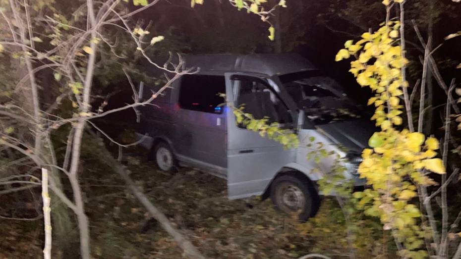 В Воронежской области «Газель» врезалась в дерево: водитель погиб