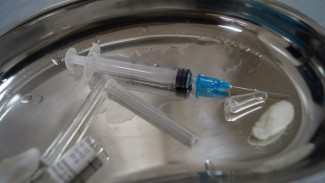 В Санкт-Петербурге завершили доклинические испытания универсальной вакцины против гриппа 