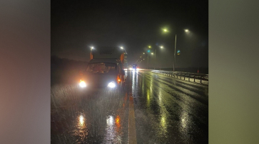 В Воронежской области грузовик насмерть сбил пешехода