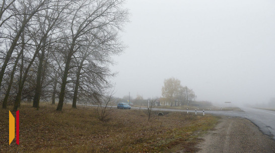 Туман задержится в Воронежской области до утра 21 ноября
