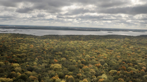 Ученые предложили создать в Воронеже национальный парк