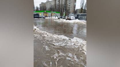 Из-за резкого потепления Воронеж затопило: фото и видео