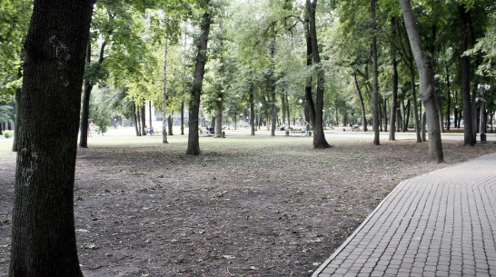 Застройщик заплатит 1 млн рублей за уничтожение культурного слоя в воронежском «Орленке»