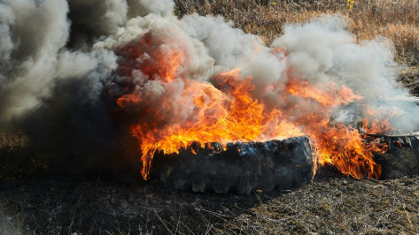 Несущуюся вдоль дороги горящую фуру сняли на видео в Воронежской области