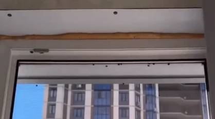 Воронежцы сообщили о нашествии божьих коровок