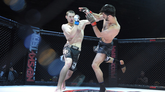 Фото РИА «Воронеж». Турнир по смешанным единоборствам «Донская битва»