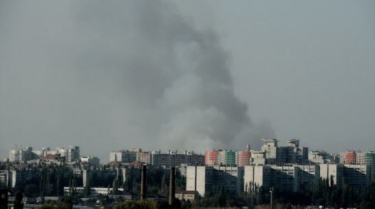 Под Воронежем подожгли 2 гектара сухой травы