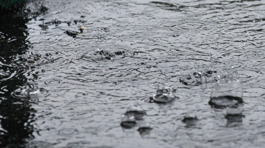 Откуда взялись воронежские ливни? Пять вопросов о летнем потопе