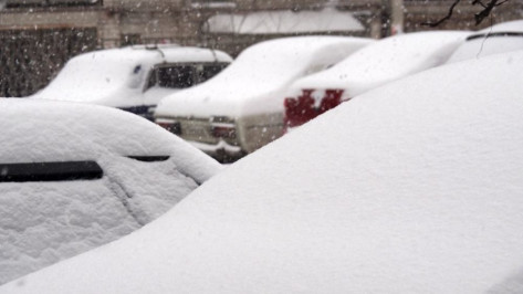 Число ДТП в Воронежской области из-за снегопада выросло на 33% за сутки