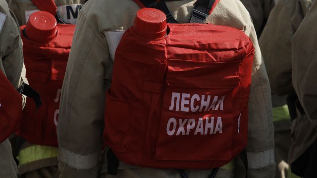 Воронежский губернатор утвердил сводный план тушения лесных пожаров на 2023 год