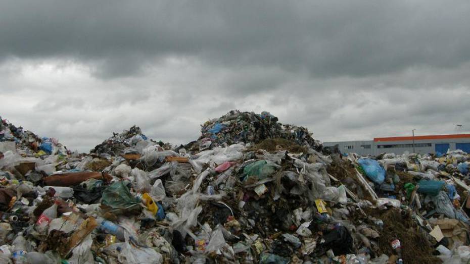 В Воронежской области на 13 законных полигонов для мусора приходится 400 нелегальных свалок