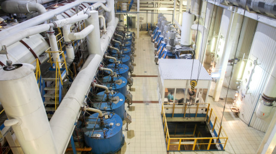 Воронежский «Продимекс» запустил 5 из 7 сахарных заводов 