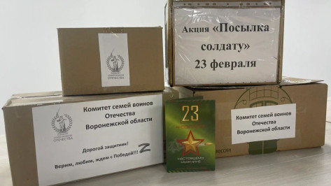 В Воронеже продолжается сбор сладких подарков для российских военнослужащих