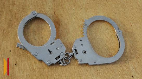 Реальные сроки получили в Воронеже 2 человека за организацию незаконной миграции