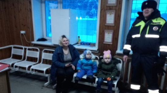 В Воронежской области полицейские спасли замерзающую на трассе женщину с 2 детьми