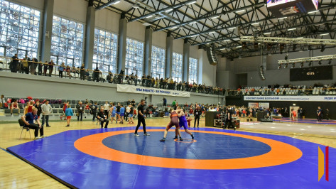 За 5 лет в Воронежской области построили более 40 спортивных объектов