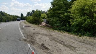 В Воронежской области водитель на ходу выпрыгнул из кабины грузовика и погиб