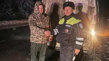 Двойная удача на дороге: водителю помогли воронежские полицейские с одинаковыми именами и фамилиями