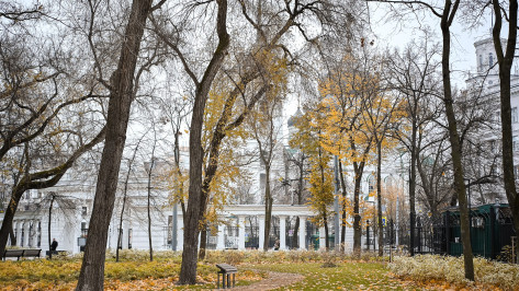 В Воронеже первая зимняя рабочая неделя будет прохладной и облачной