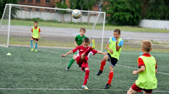 Воронежские футболисты победили в турнире Романа Шишкина