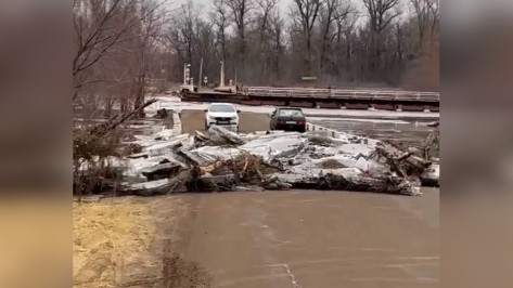 Лед сорвал еще один понтонный мост в Воронежской области