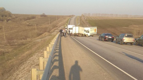 На трассе под Воронежем столкнулись 2 грузовика: водители попали в больницу